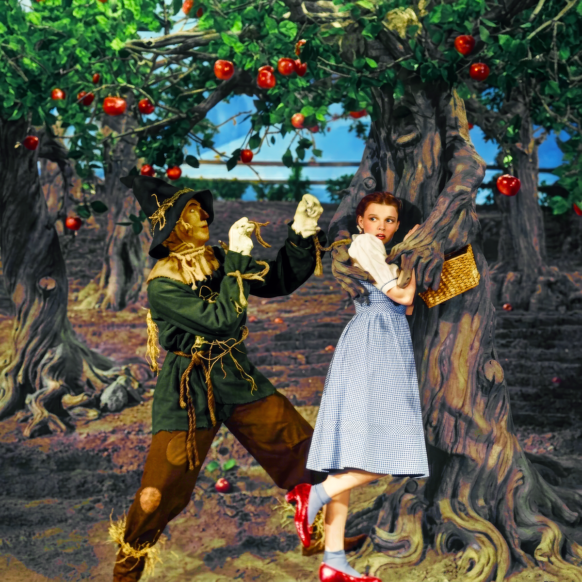 Fighting Apple Tree Comfor-T
